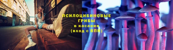 дурь Кулебаки