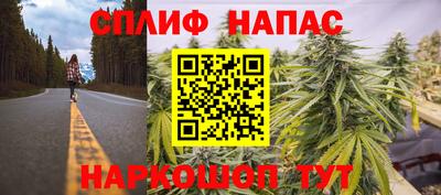 стафф Апшеронск